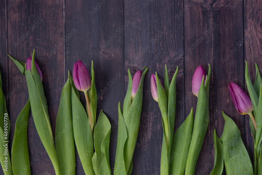 Purple tulips on a dark wooden background Purple tulips on a dark wooden background