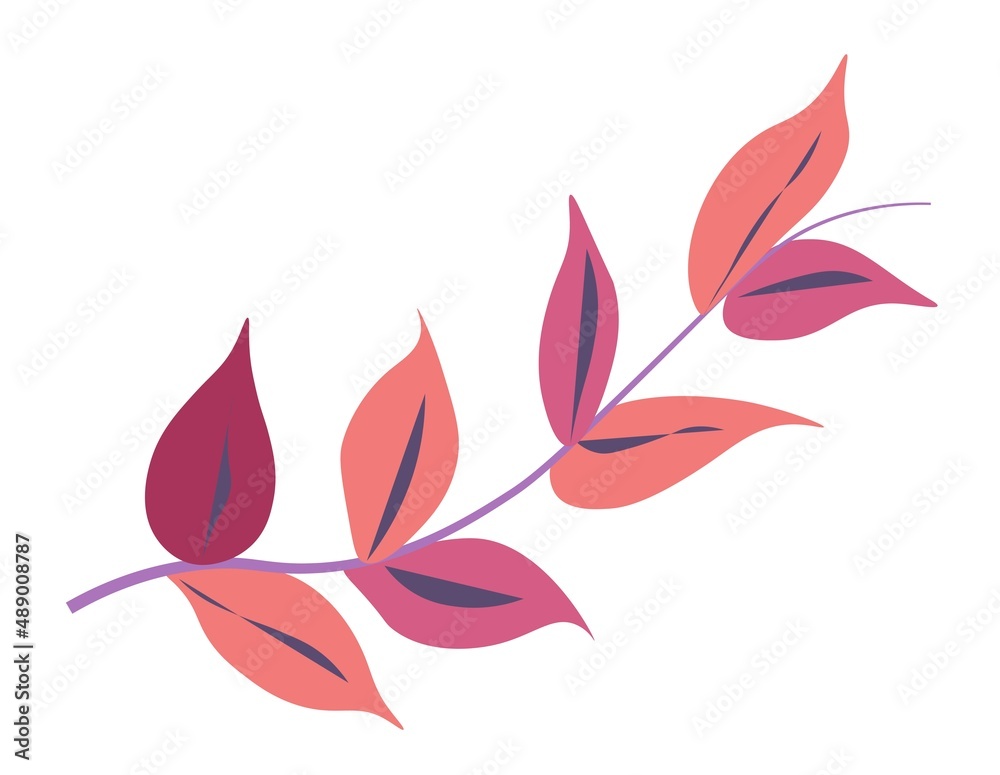 Fototapeta premium Exotic leaf, decorative foliage branches vector