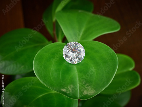Ethical Lab-Grown Diamond on Green Leaf