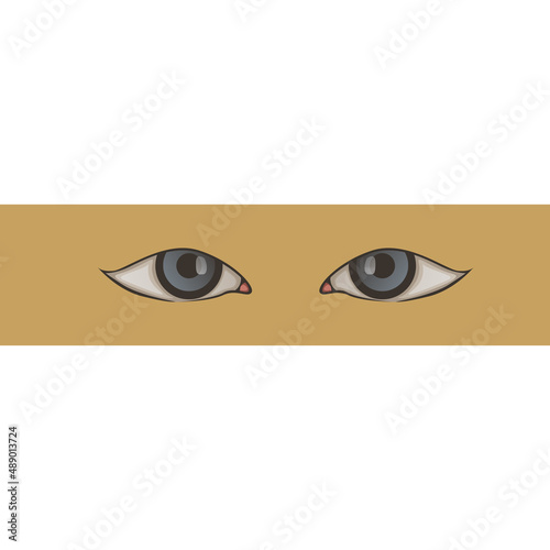 simple pair of eyes vector design