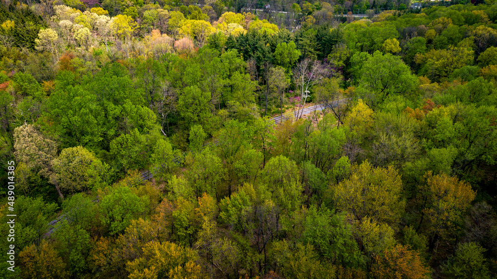 Aerial View of Springtime Trees With a Single Old Railroad Track Going Thru It on a Spring Day