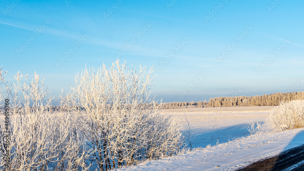 Winter road, agriculture field with snow in the countryside. Hoarfrost forest on a horizon. Winter landscape. Winter road, agriculture field with snow in the countryside. Hoarfrost forest on a horizon. Winter landscape.