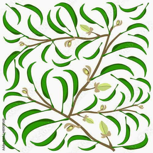 Beautiful Flower, Illustration Background of Wine Magnolia Flower or Magnolia Figo Flowers with Green Leaves on A Branch.
