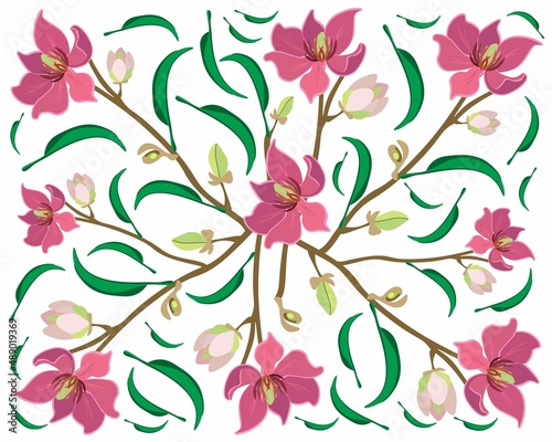 Beautiful Flower, Illustration Background of Wine Magnolia Flower or Magnolia Figo Flowers with Green Leaves on A Branch.
