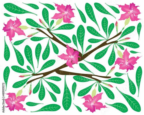 Beautiful Flower, Illustration Background of Pink Desert Rose Flowers or Pink Bignonia Flowers with Green Leaves.
