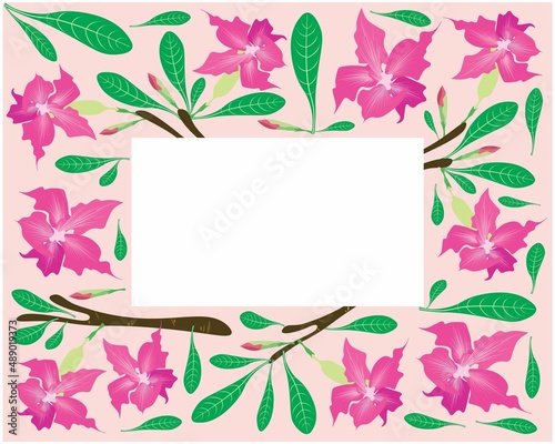 Beautiful Flower, Illustration Frame of Pink Desert Rose Flowers or Pink Bignonia Flowers with Green Leaves Isolated on White Background.
