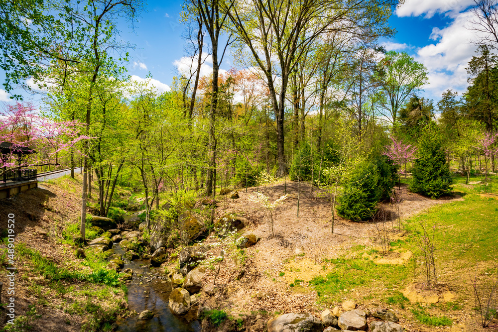 View of a Small Brook Running Thru Many Rocks and Boulders on a Sunny Spring Day With Trees Just Starting to Bloom View of a Small Brook Running Thru Many Rocks and Boulders on a Sunny Spring Day With Trees Just Starting to Bloom