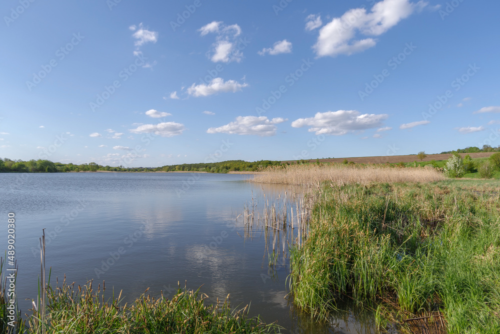 Scenic view of pond against sky