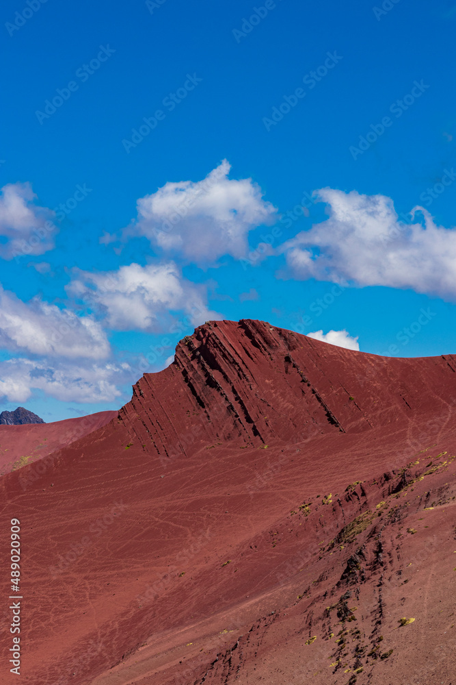 Fototapeta premium RED