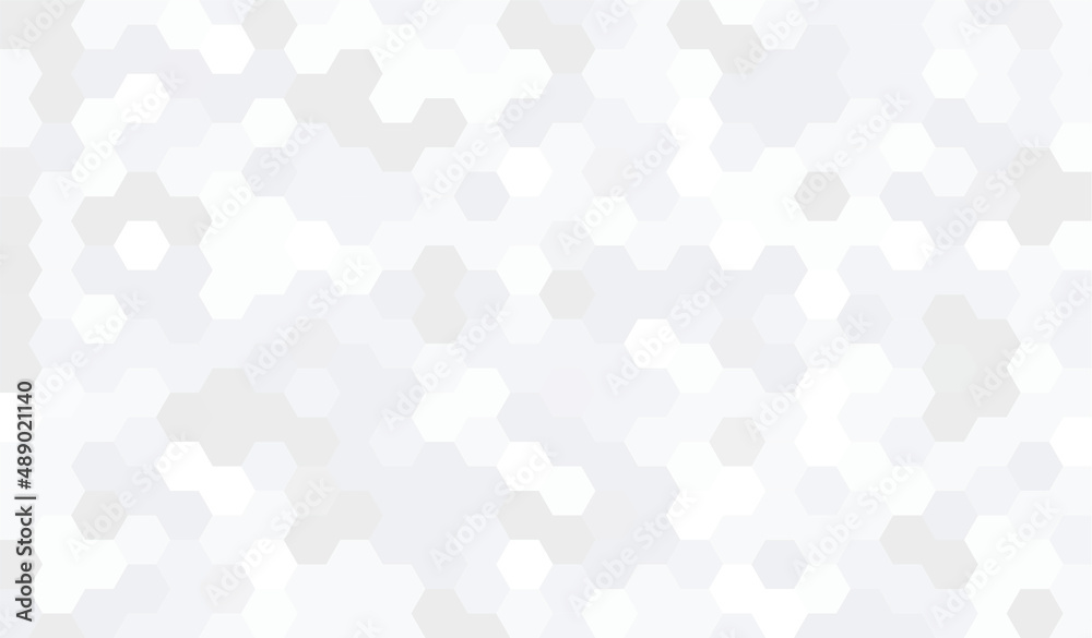 Abstract geometry hexagon white and gray background pattern. vector illustration.	