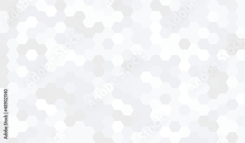 Abstract geometry hexagon white and gray background pattern. vector illustration.	