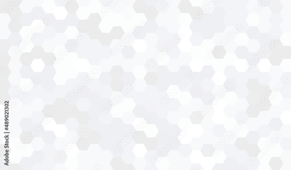 Abstract geometry hexagon white and gray background pattern. vector illustration.	