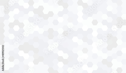 Abstract geometry hexagon white and gray background pattern. vector illustration. 