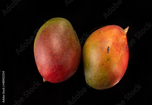 Two whole mango fruits on a black background. Ripe exotic fruit, close up.