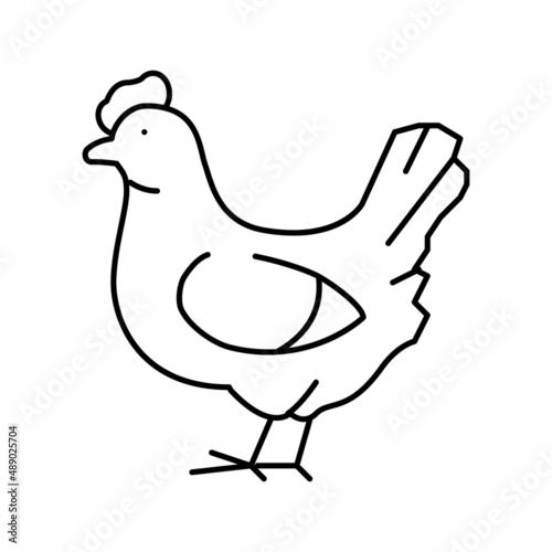 chicken bird line icon vector illustration