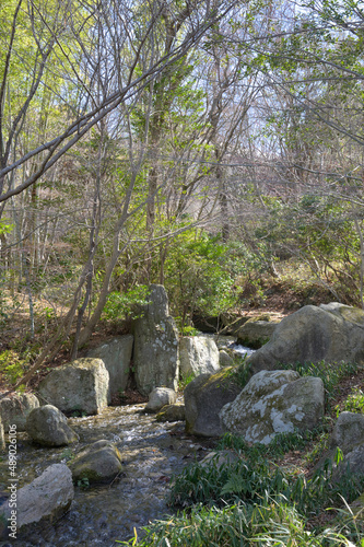日本庭園内の渓流