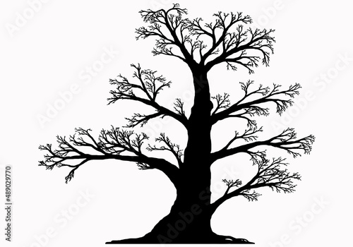 Fotografie illustration of an isolated silhouette of a large branchy tree