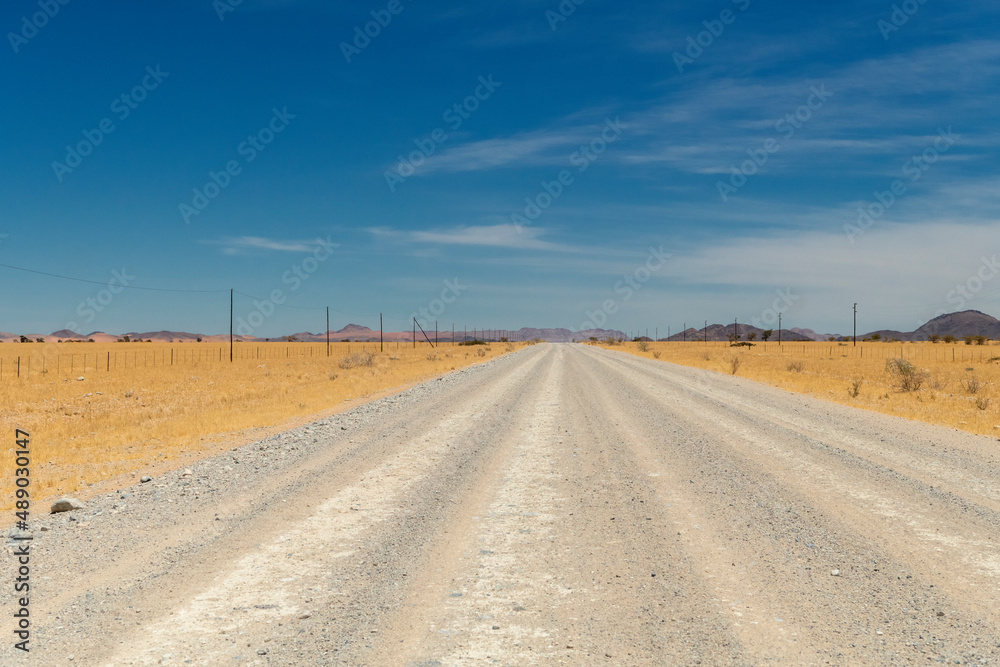 dead straight gravel road through the Namib, Namibia