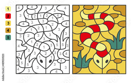 Color by numbers snake, reptile. Puzzle game for children education, colors for drawing and learning mathematics