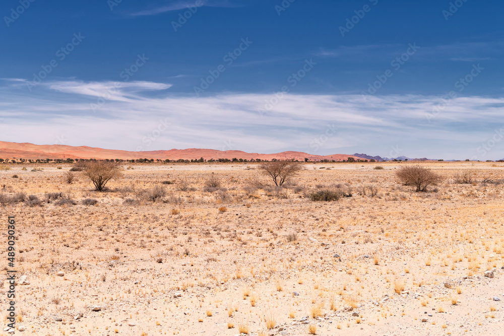 Desert landscape and in the background the red sand dunes of Sossusvlei, Namibia