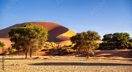 at the edge of the dunes of Sossusvlei, Namibia photo