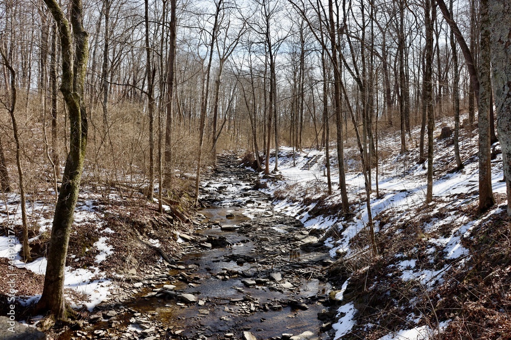 The flowing creek in the snowy forest on a sunny day. The flowing creek in the snowy forest on a sunny day.