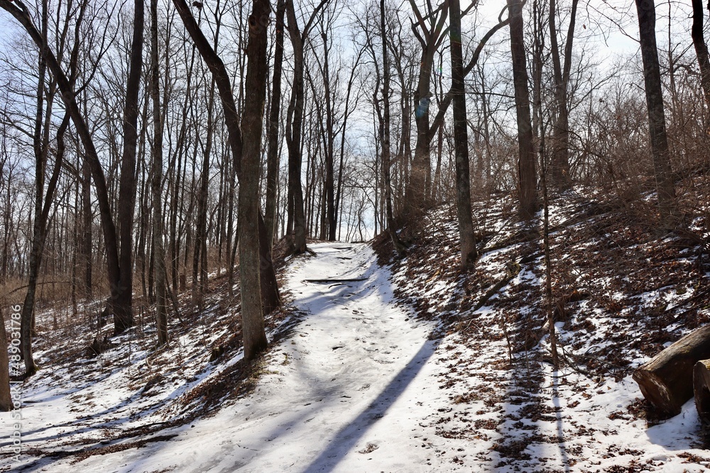 The empty snowy hiking trail up the hill in the forest. The empty snowy hiking trail up the hill in the forest.