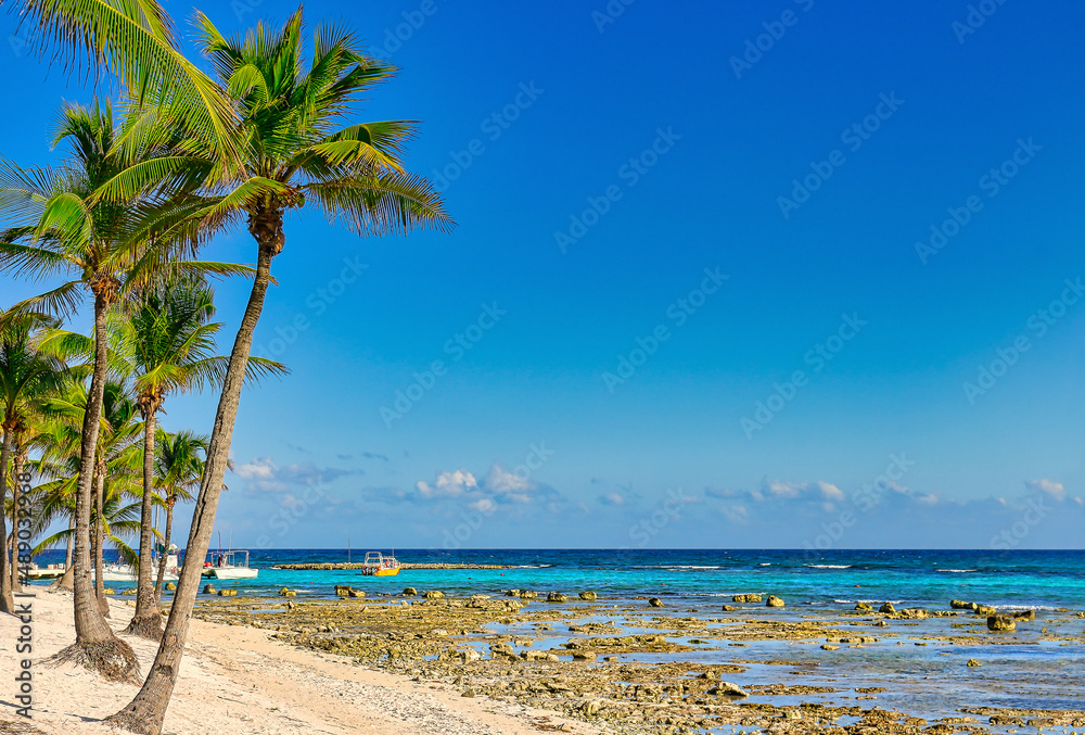 Fototapeta premium Beautiful beach of the Mexican Caribbean with coconut trees as guardians.