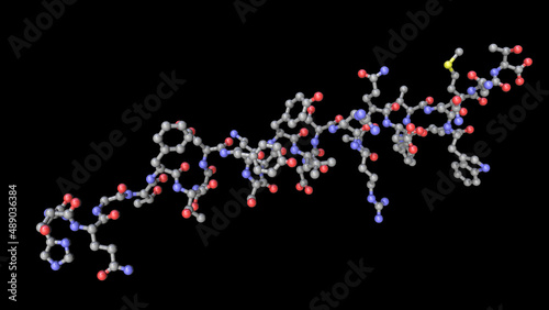 Fototapeta Naklejka Na Ścianę i Meble -  Molecule of the human hormone glucagon