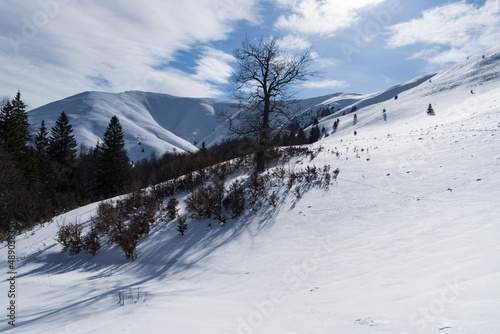 snow covered mountains, Cazacu Valley, Baiului Mountains, Romania  © Ghidu