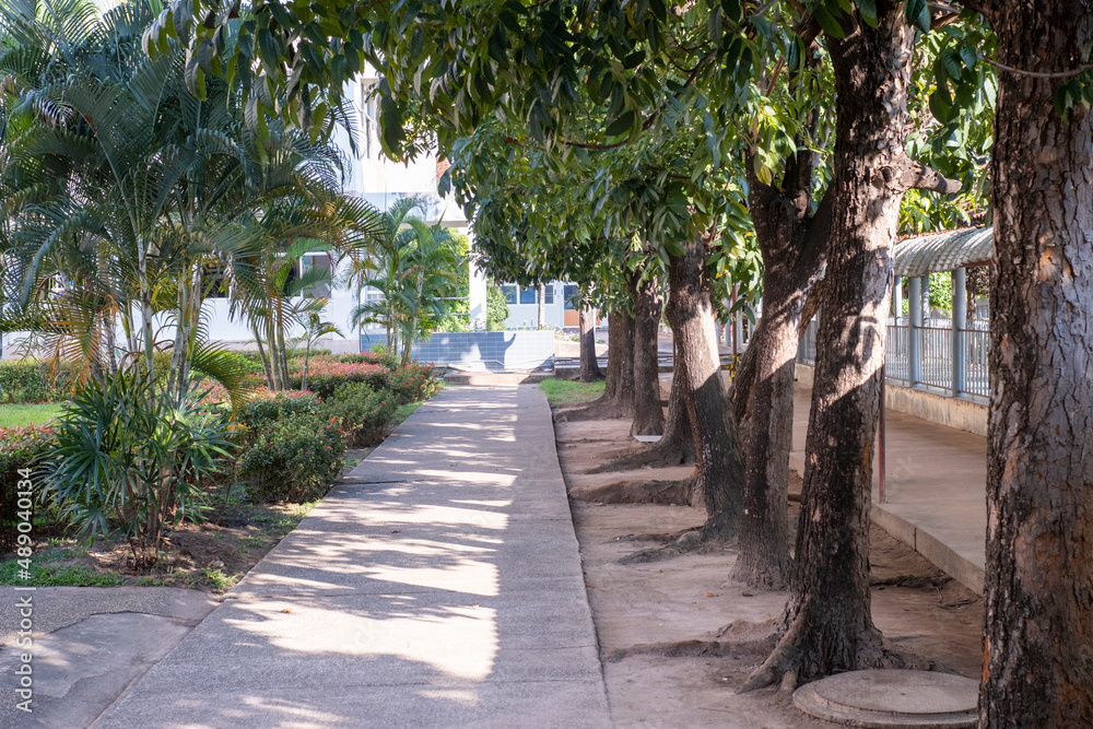 The trees planted in rows between the building corridors provide a pleasant atmosphere.