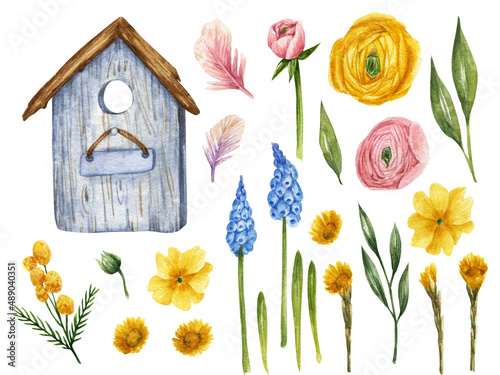 Spring flowers watercolor clipart