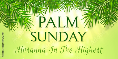 Palm Sunday - greeting banner template for Christian holiday, with palm tree leaves background. Congratulations with first day in Holy Week and symbol of triumphal entry into Jerusalem