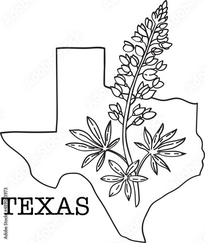 Texas map with bluebonnet flower. Vector line sketch. Lone star state symbol