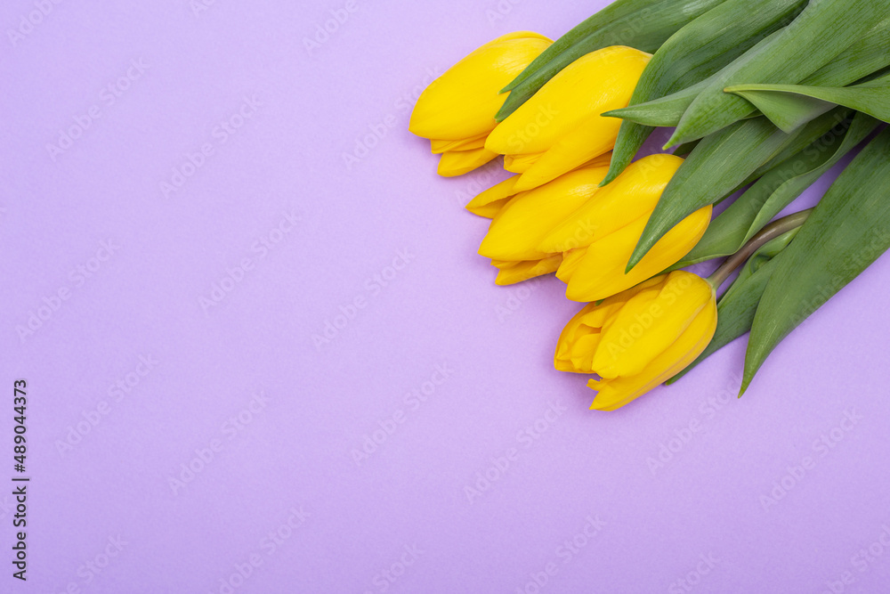 The spring composition is a bouquet of yellow tulips on a lilac background.