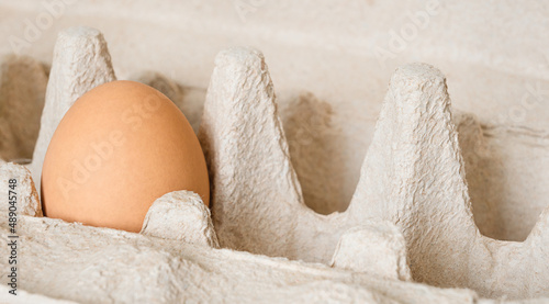 one egg in a tray. horizontal photo