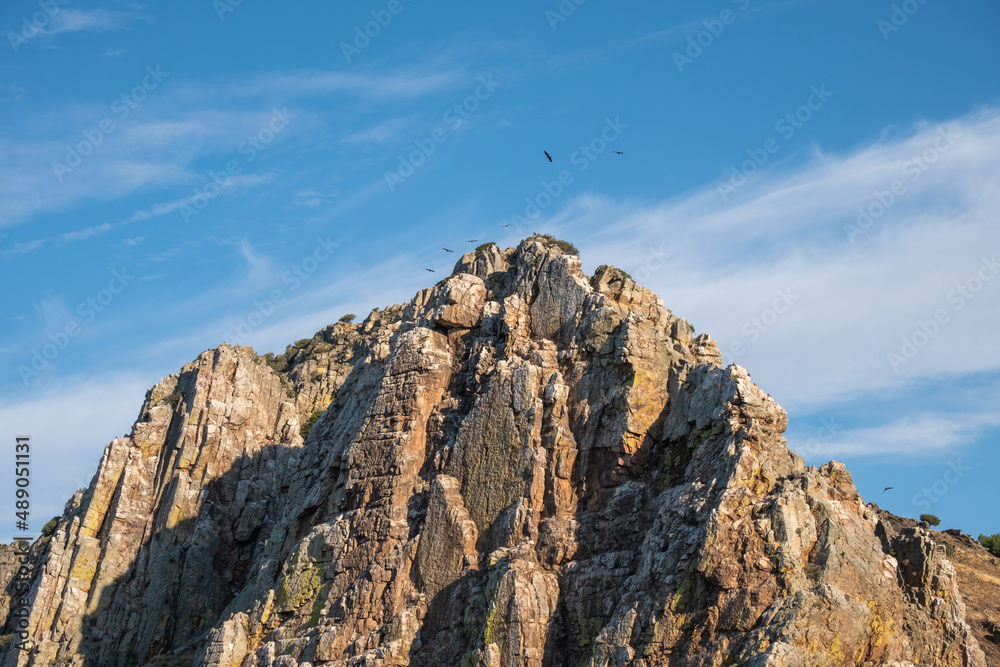 A lot of vultures circling around a mountain called the gypsy's jump (Salto del Gitano) in the Monfrague National Park A lot of vultures circling around a mountain called the gypsy's jump (Salto del Gitano) in the Monfrague National Park