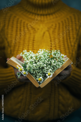 Woman in knitted cozy yellow sweater holds book with daisies inside. Bouquet of wildflowers in open book. Female hand with object. Concept of romance and spring.