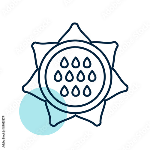 Sunflower outline icon. Vegetable vector