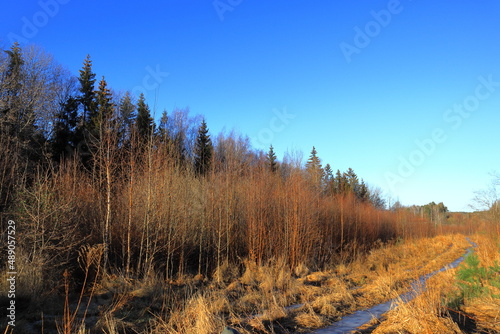 Small path made of ice. Nice landscape during the month of February. One sunny day. Clear blue sky. Stockholm, Sweden, Scandinavia, Europe.