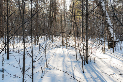 Beautiful landscape of winter snowy forest  © fizke7