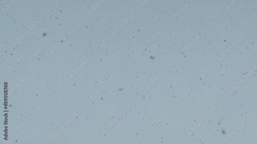 Snowstorm. Flying snowflakes on a winter day. Snowstorm. Flying snowflakes on a winter day.