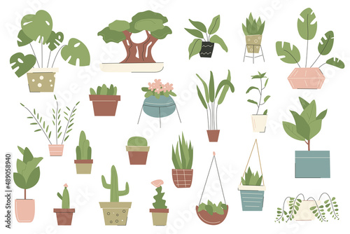 Collection of house plants in flat cartoon style. Succulents and tropical plants, trendy minimalistic house decor with plants, cacti, leaves in stylish planters and pots. Vector illustration