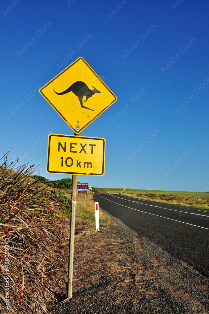 An iconic warning road sign for kangaroos near Great Ocean Road, Victoria, Australia.