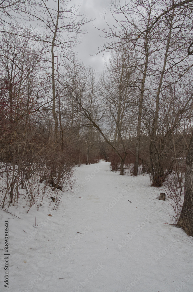Winter Hiking Trail in the Park