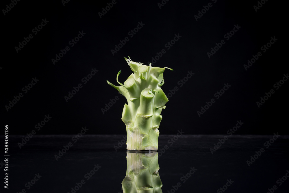 Tallo de florete de brócoli sobre fondo negro con reflejo de espejo. Aislado