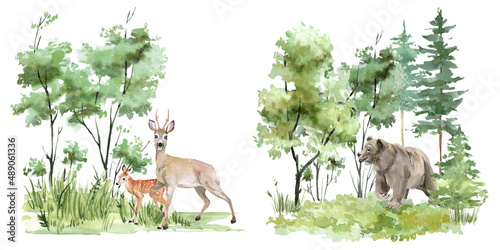 Hand drawn forest animals. Wild animals on the background of the forest landscape. Forest art. Hare, bear, deer, roe deer, owl, fox, wolf. For cards, stickers, posters, planners, scrapbooking  © Yevheniia Poli