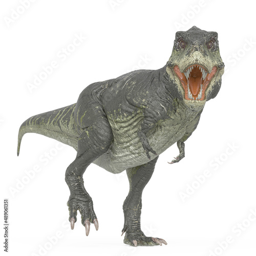 tyrannosaurus rex is walking and staring you in white background