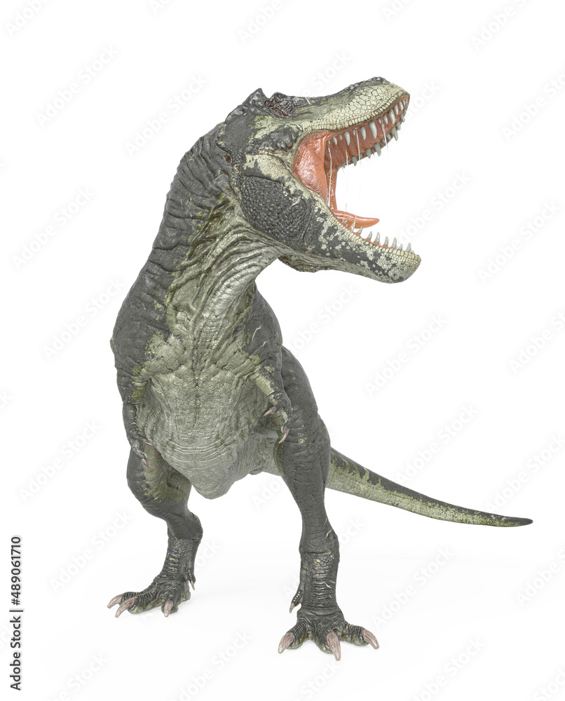 tyrannosaurus rex in action with a mouth wide open in white background tyrannosaurus rex in action with a mouth wide open in white background
