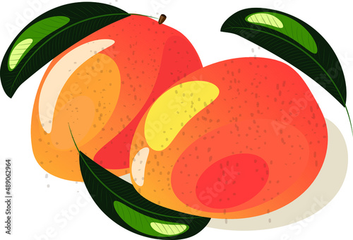 Vector image of a mango. Two mangoes on a white background. Mango with leaves.